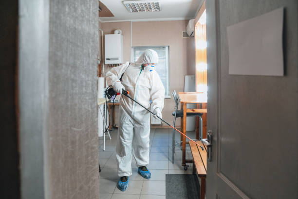 Trusted New Iberia, LA Mold Removal Experts