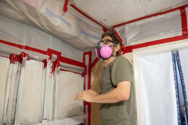 Best Biohazard Mold Removal  in New Iberia, LA